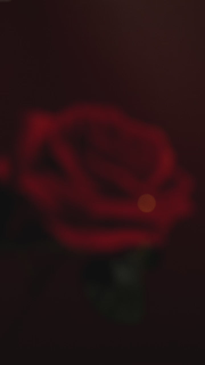 【喜餅】主廚精選禮盒－玫瑰星空 La Rose Étoilée