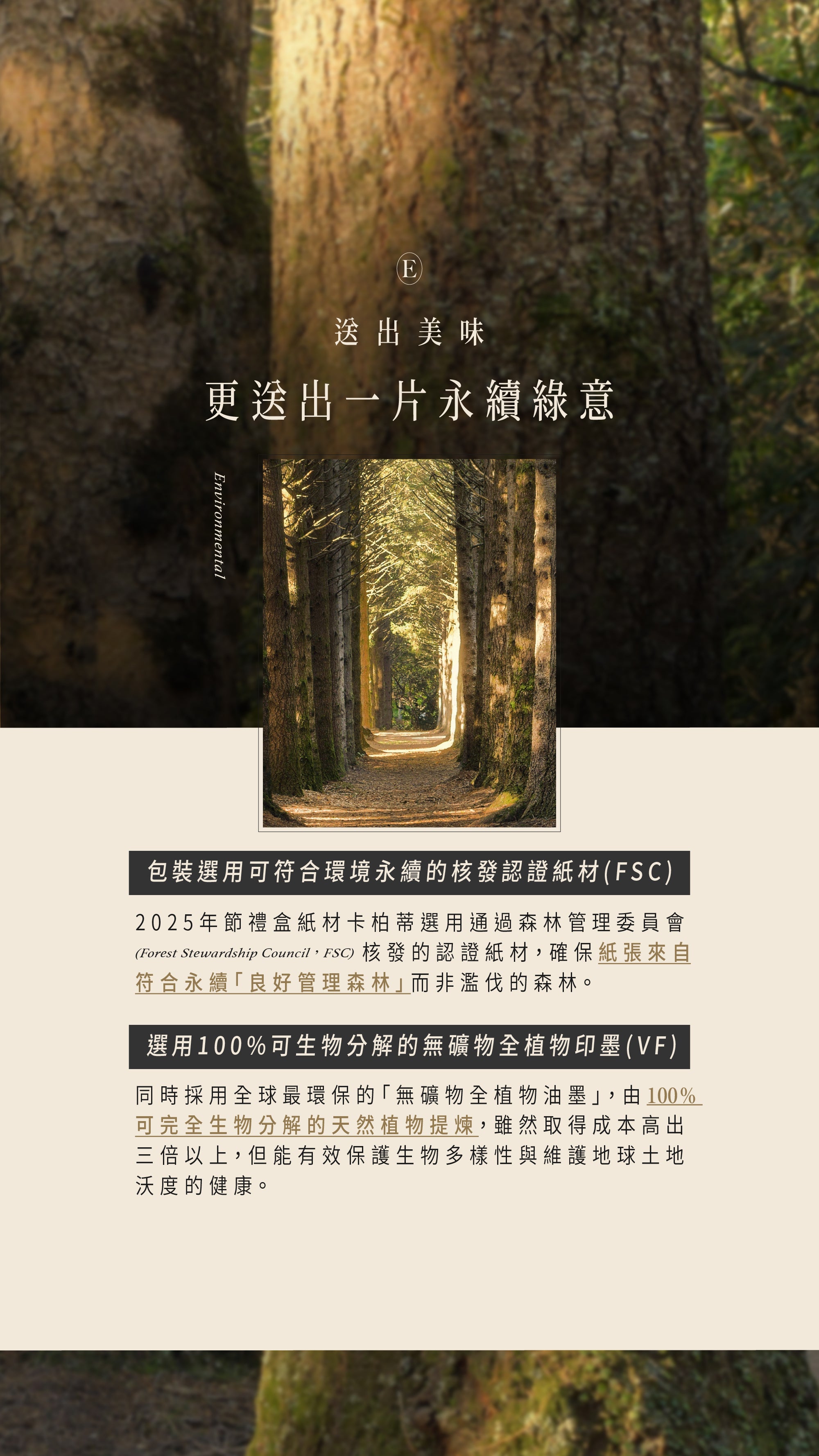 包裝選用符合環境永續的FSC認證紙材