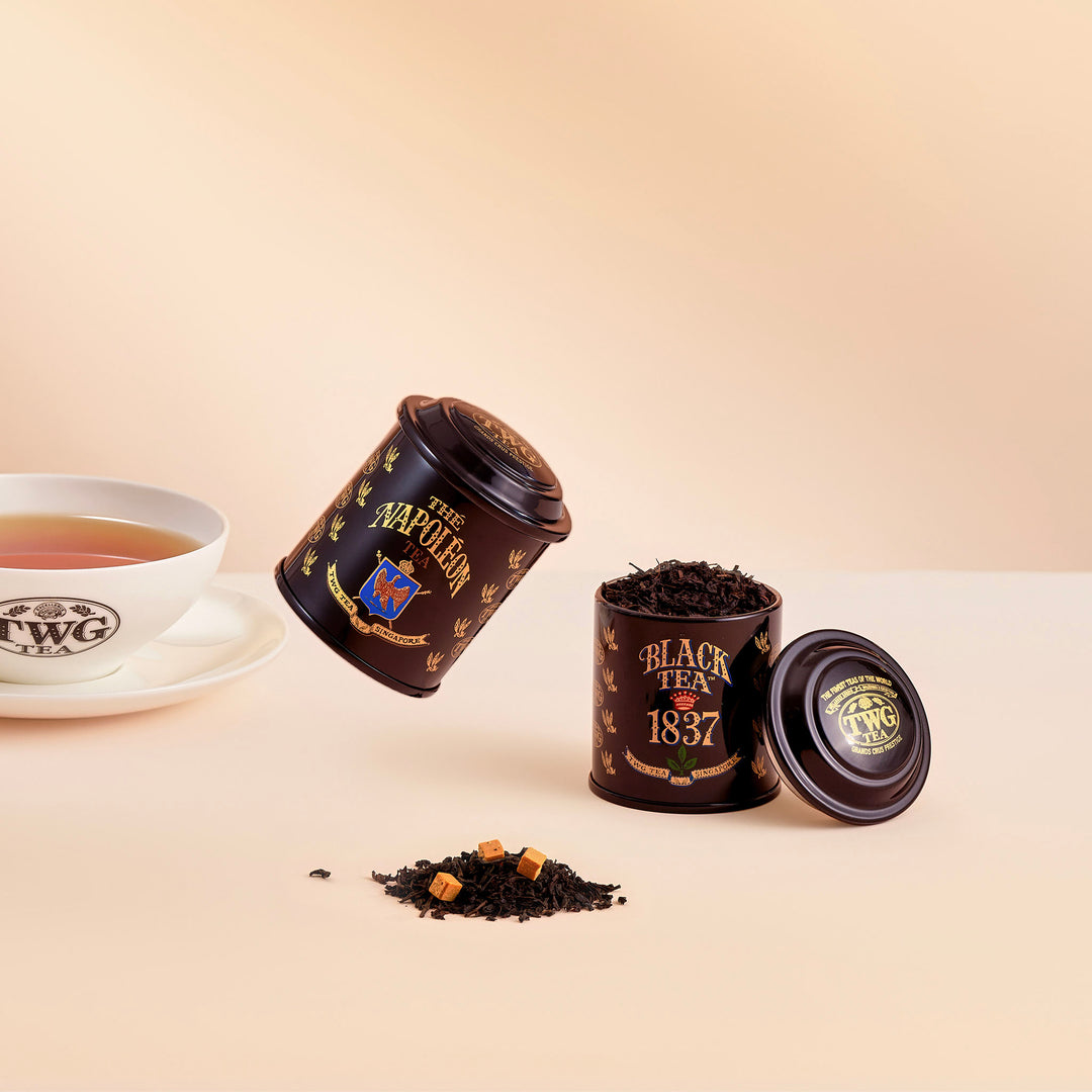 琥珀棕(精裝盒) TWG Tea 聯名款 12入